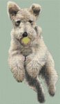 (image for) When Dogs Fly